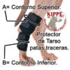 610 (1) Protector de Tarso – Kippe