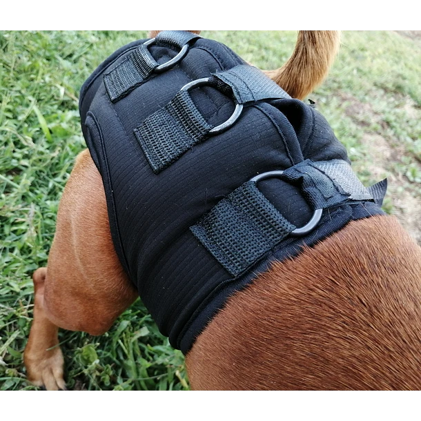 Soporte de Caderas – Kippe