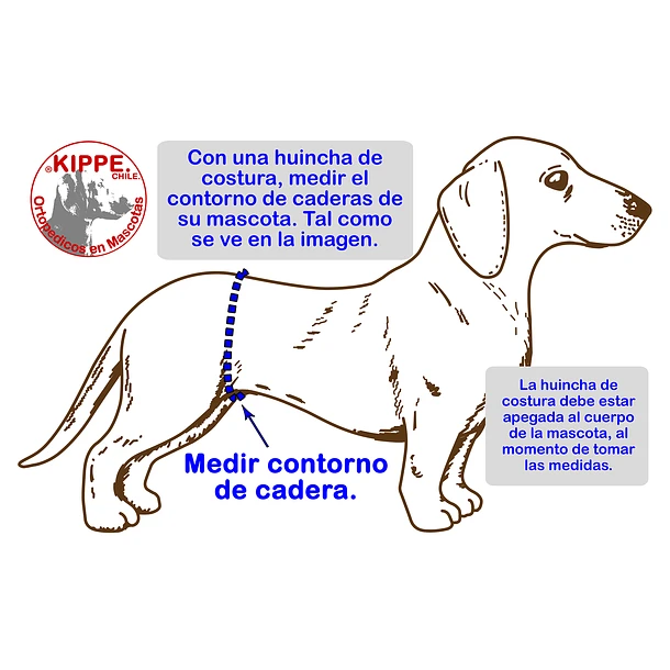 610 (1) Arnés de Levantamiento – Kippe