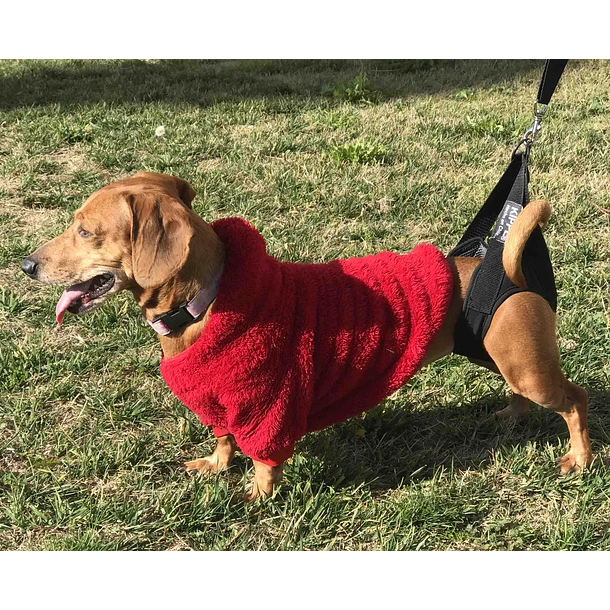 610 Arnés de Levantamiento – Kippe