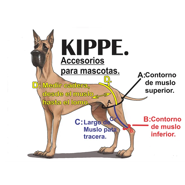 610 (2) Protector de Rodilla – Kippe