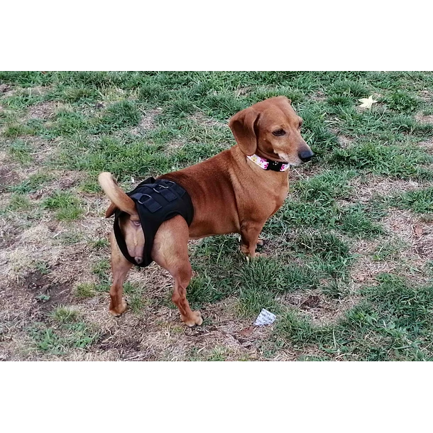 Soporte de Caderas – Kippe