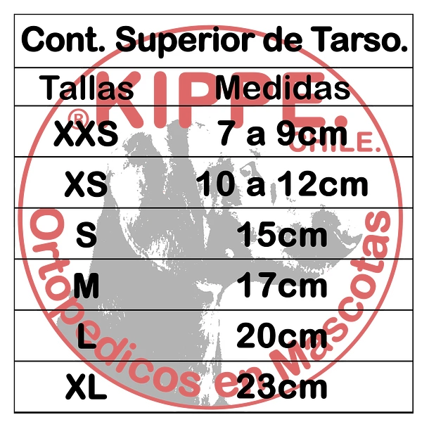 610 (3) Protector de Tarso – Kippe