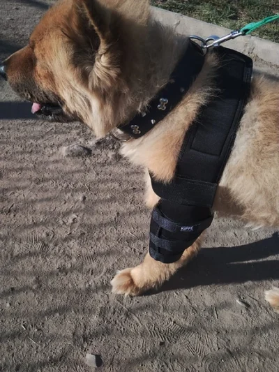 Órtesis de Codo – Kippe