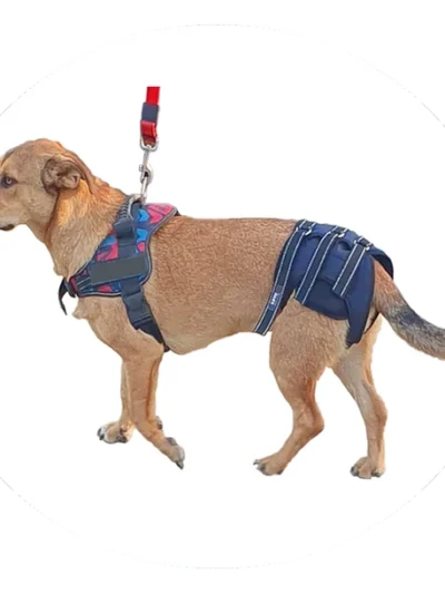 Soporte de Caderas – Kippe