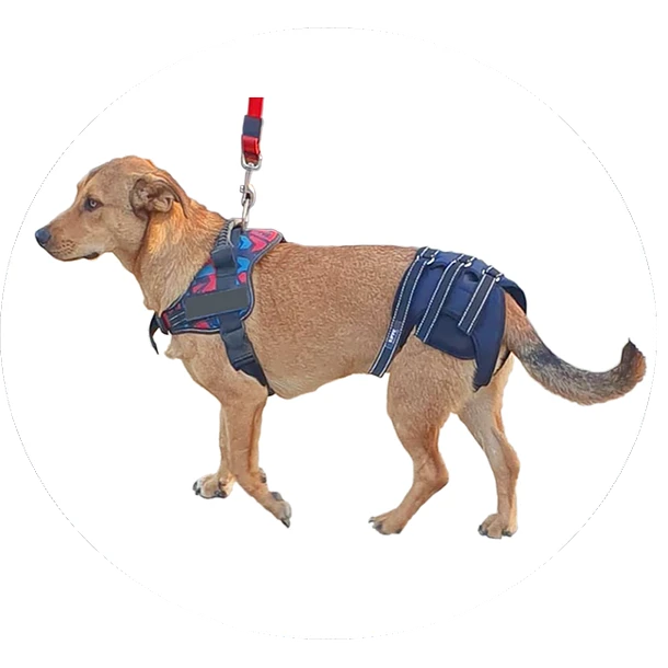 Soporte de Caderas – Kippe