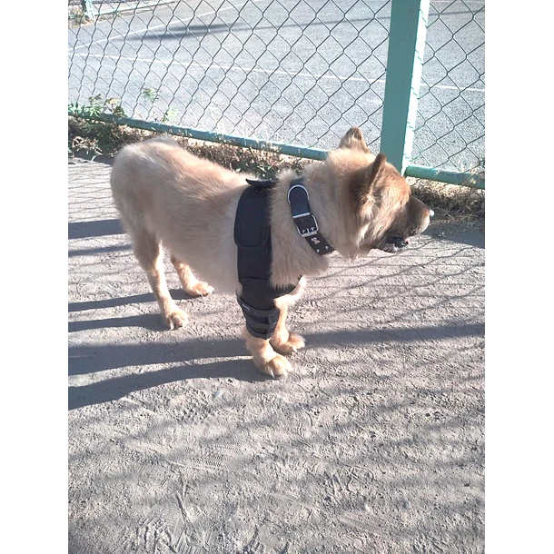 Órtesis de Codo – Kippe