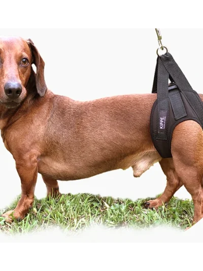 Arnés de Levantamiento – Kippe