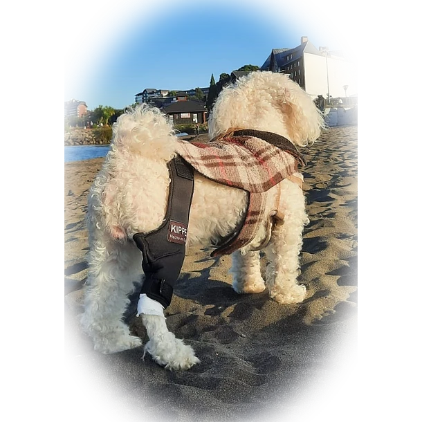 610 (5) Protector de Rodilla – Kippe