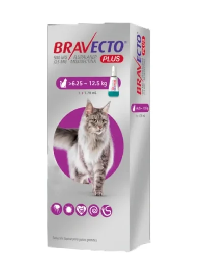 bravecto-plus-gato-6.25-a-12.5-kg Bravecto Plus Pipeta Gato 6 a 12 Kg