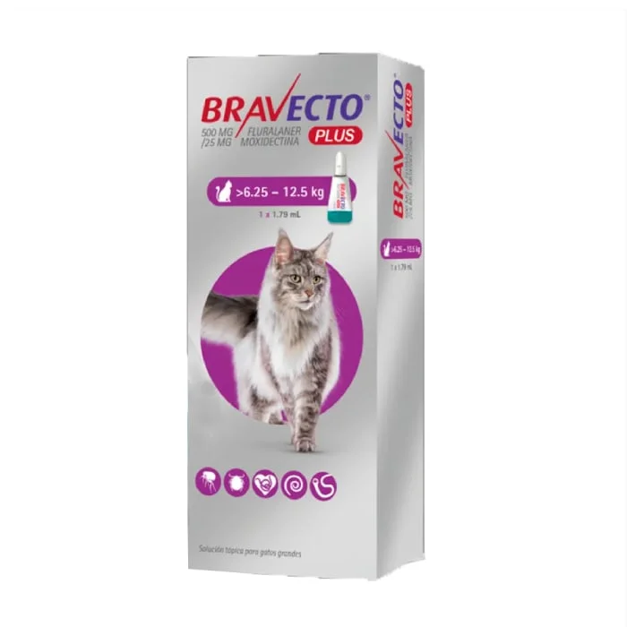 bravecto-plus-gato-6.25-a-12.5-kg Bravecto Plus Pipeta Gato 6 a 12 Kg